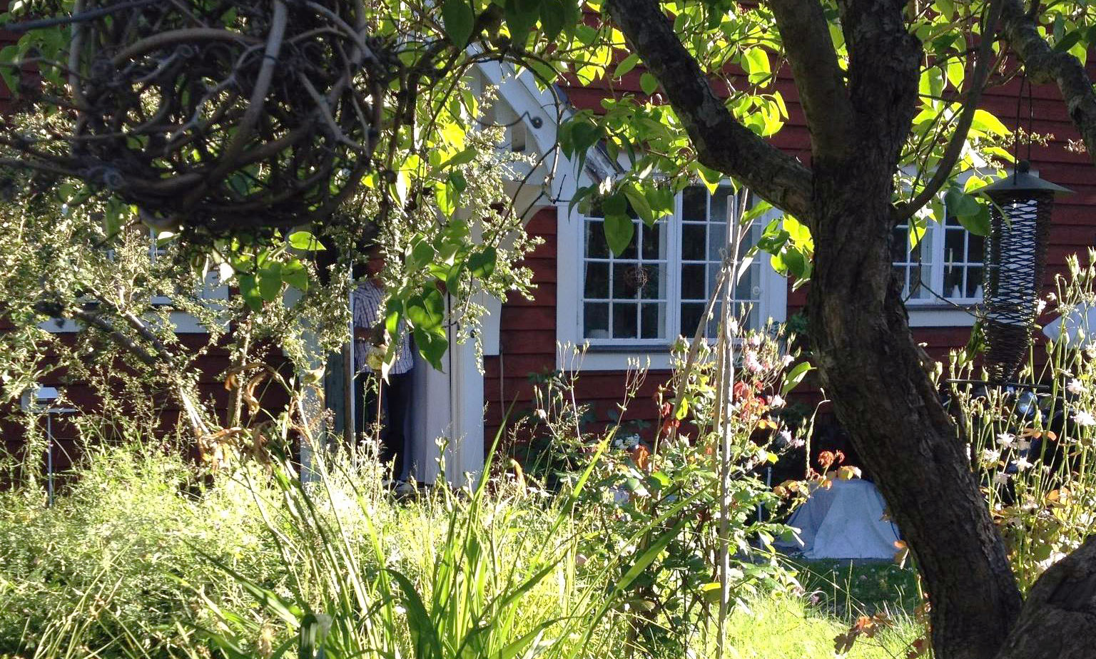Villa Sandbergs trädgård och röda fasad